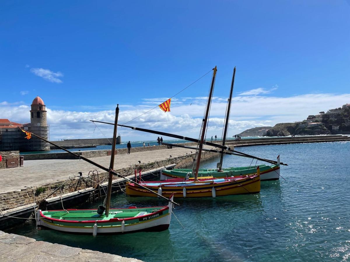 Charmant T2 Duplex Climatise Avec Terrasse, A Deux Pas De La Plage Du Port D'Avall, Collioure - Fr-1-309-233公寓 外观 照片